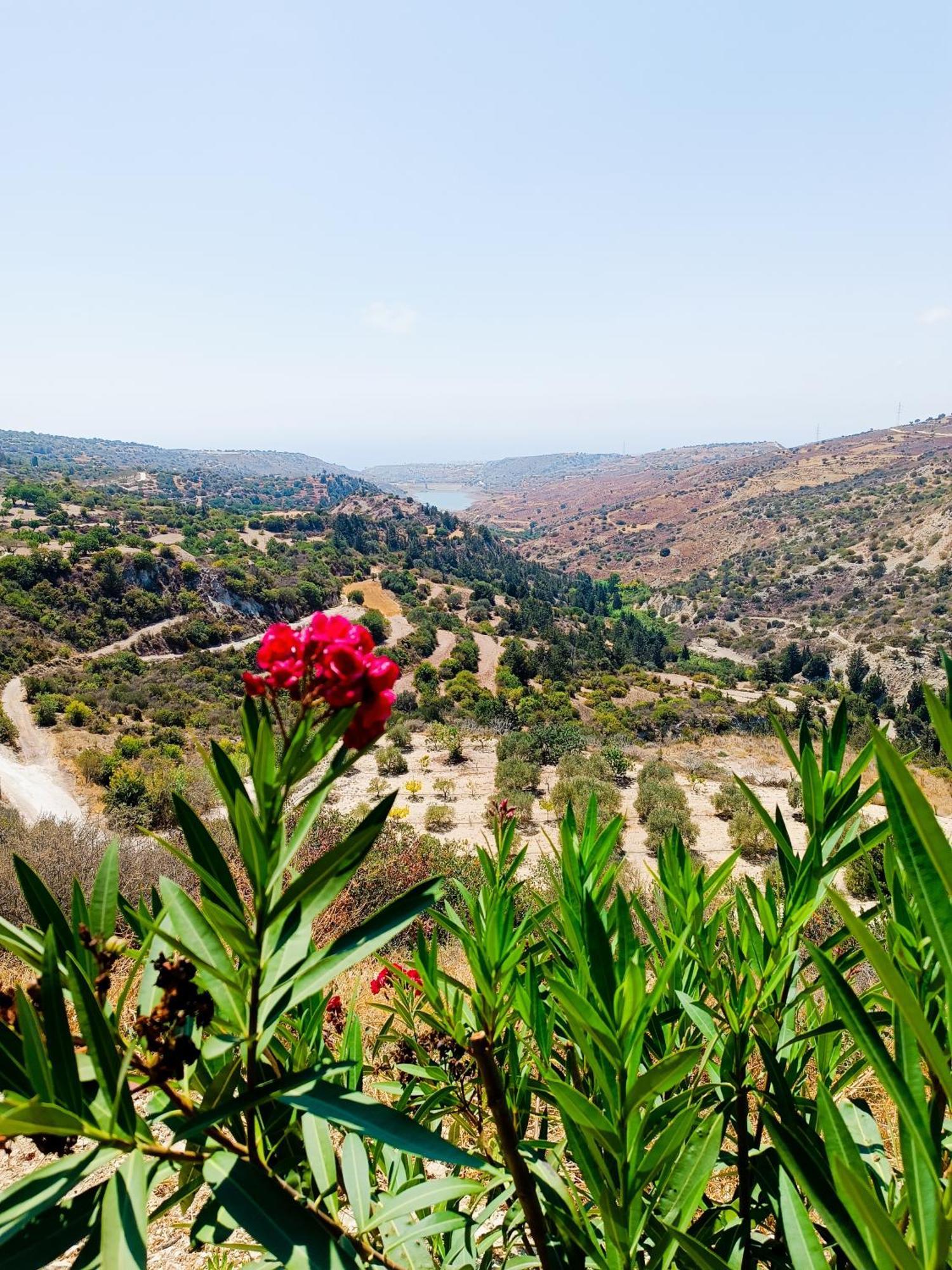 Glamping Adonis Paphos